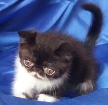 a8b604b551bccf85fca9874e5200a0d1619d38a0