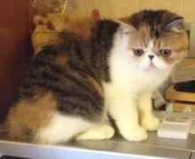 a8e78af3ef7a321e68078bd2862768b1b7674954