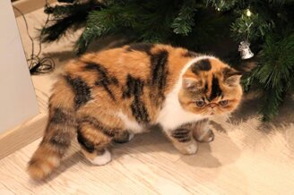 b5f8085a67076ad6fd980d241aa2b2c0d3e1c8bd