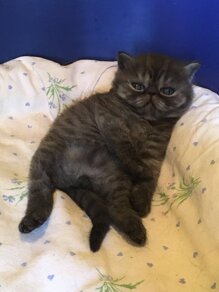 d452246fdbb78a84021e25fd73a2f2f2015213b5