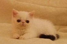 def89fc0fba45a93f6d6bcaa26ec7240141ebfb5