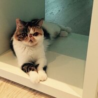 f4be9fa23e3784f78c5a1816adca8d941a865cca