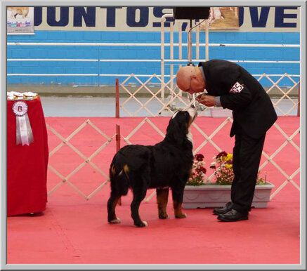 0f22816e34bb0692e0b70d01e65a1febbdf80d4d