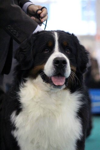 166245568a1c651145f2ed7375eb06cdec04b408