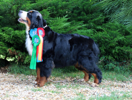 24425ccac39162d5443e8a06f81b43ff058b837e