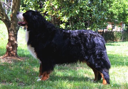 281282ffbeda1a1f3793974d0bd308799efe9f22