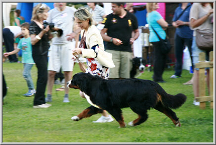 3299c5193c322561c644f1d388dc664da4c4b615