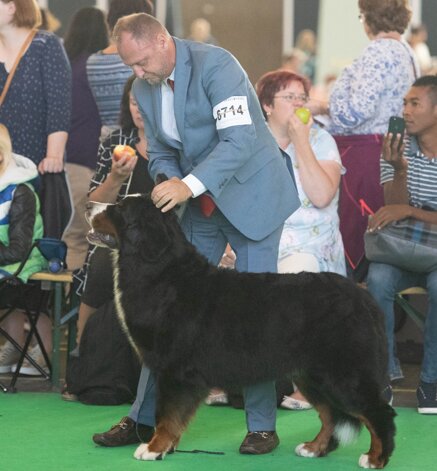 3f19a0b26d6c256fc21d7df656a6c1a61c48be2d