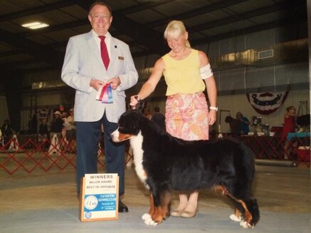 45ea3b05d45986d7ebaa739d1ca1d8179c2e96fc