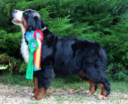 4b1849f233bd95103abb82e954096273757eb0a7 4b1849f233bd95103abb82e954096273757eb0a7