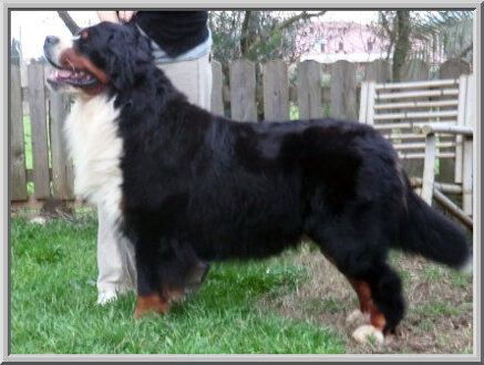 5679649cdcd1c6c55b91ffa18bd1c45abee3bf70