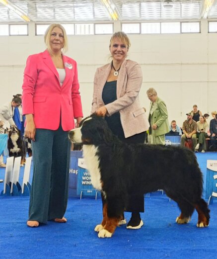 626534a0e20e92dcc838f78bd1d1a4b9efff10ba