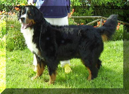 62c3837498b52fcb49d6ad8d8f0598782f531e75