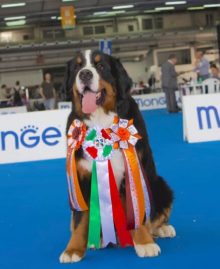 68ab2b0c24ab05d696d1b1ec0b279ab7be970840