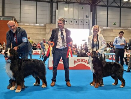 75e31b3517a6c2e95a4f833217bb5b5200db3ff1 75e31b3517a6c2e95a4f833217bb5b5200db3ff1