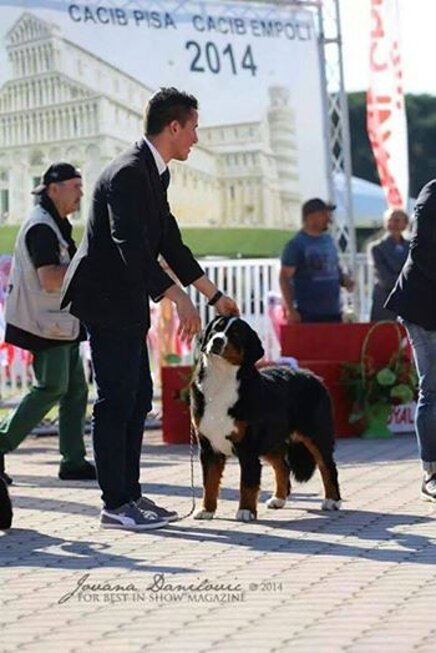 79a9bf4c7bc5e98a558632837494683a6f935d5b