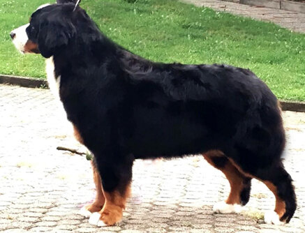 7a8a8c717981a9e4137e9e4d5f436e5be6c319be