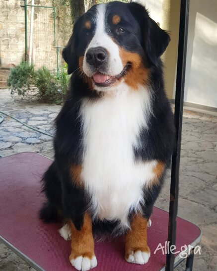 86c0b14546595e035e3b57133318c7ced6ec73a1