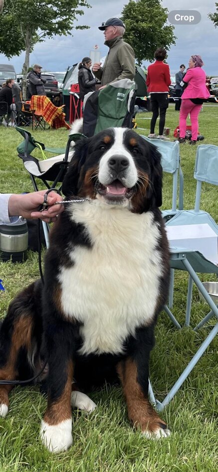 889f3e395d1055399c6ea340185a7ee0b2a202fc