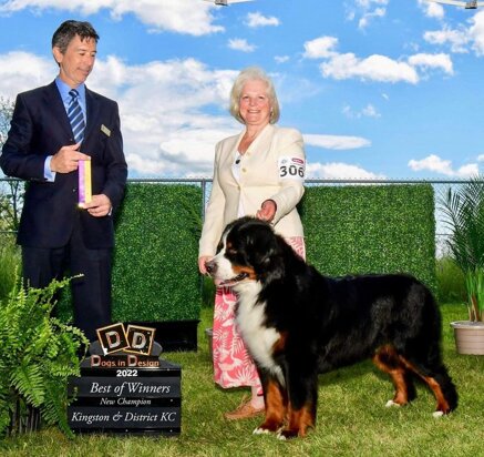 9046d29772fd888932eabcab282c219c2bfd9f8d