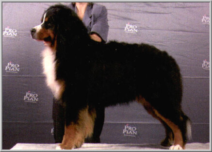 97c26f56aa0b7f84193081fd481f711b2c0dede4