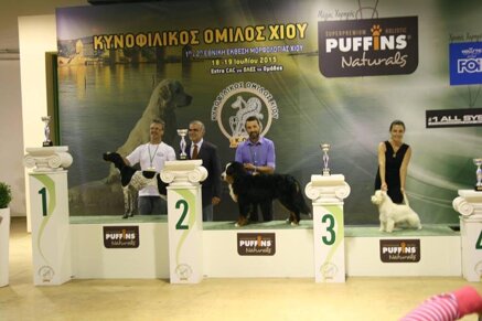 9c1ca7c2e43770597385a2e2df3821b0cae61b12