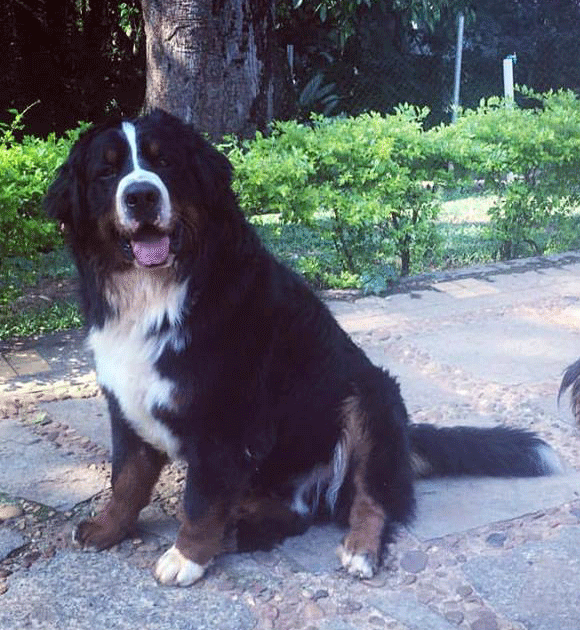 a511f605c3e4d34d6da476362b9ff3caf8036fb7