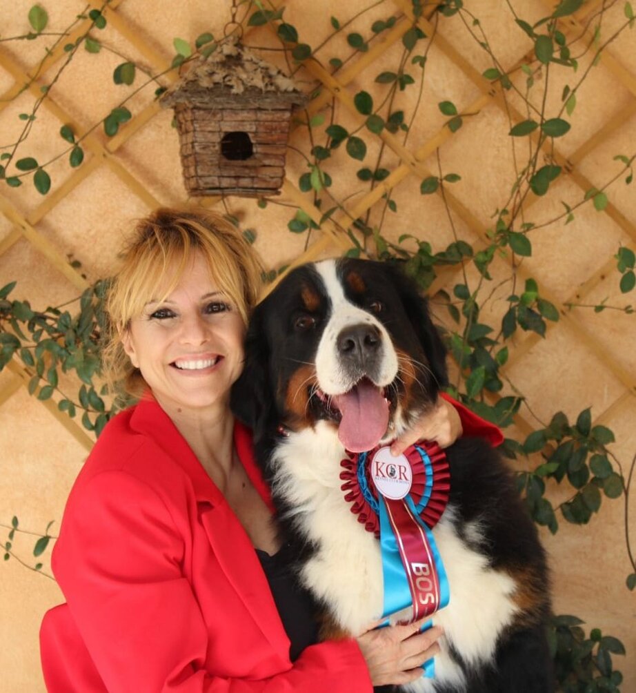 a6bc069d71fd15ac673f50378a25234e024371b0 a6bc069d71fd15ac673f50378a25234e024371b0