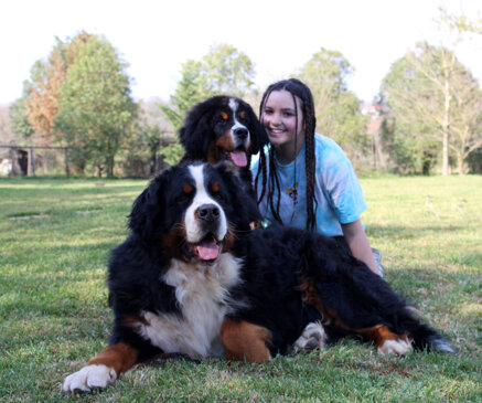 a7da60e4af6dea58db45515707289708e1f23dfe