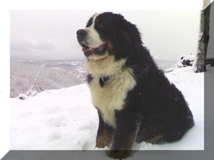 c030898478a9454d5b918b0a21c7601ad7f7df5b