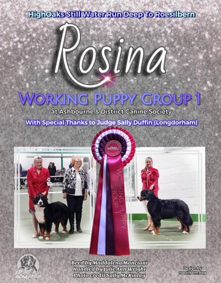 c72a271d55c5d5cd440209369a39ff3b3f2b6828