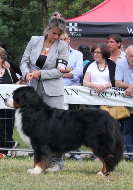 cfbb9af626ce7470ae89373bfd66e48a293dcb45