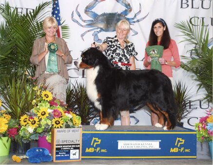 d30a47c10acea037e5a385917574e726ee81e8d1