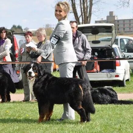 d95b1f231d3af4ecad04881dc63dcabb50001246