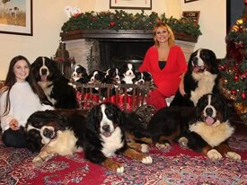 db6412c7a67920fdaf3b289c4d602e1667272390