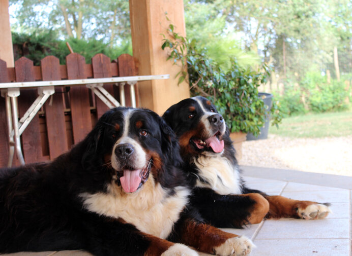 e0e7124443965bb6b1556760de2210da4643ec08