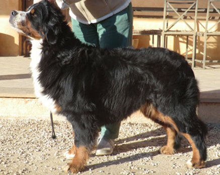 eb76a1373c2a2542793586ed68b6e2e9d58c31fa