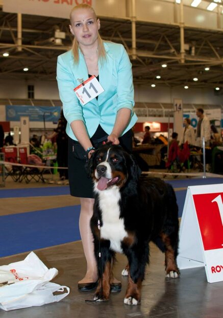 ee01de855583adb9fe0b9250cd8fec169d92374d