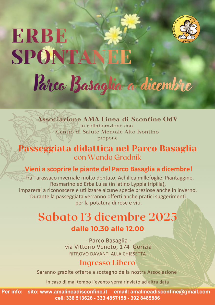 copia di a (11)
