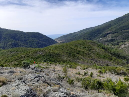 b46b280c05e0f0d609832aa7cdb31996488443ed