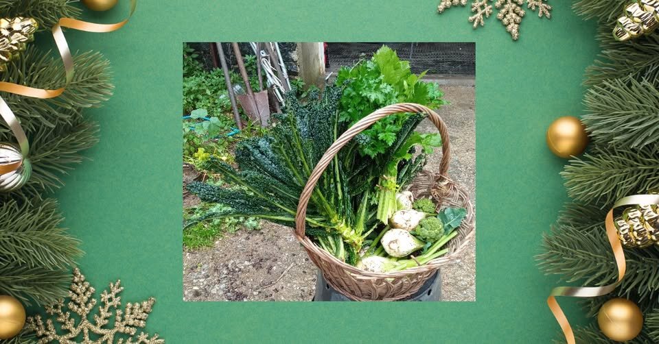 cestino di Natale cestino di Natale