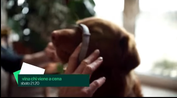 &laquo;eh, sono morti&raquo;