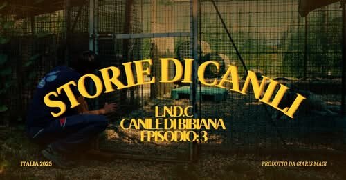 storie di canili è a Bibiana