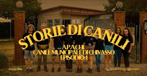 storie di canili è a Chivasso