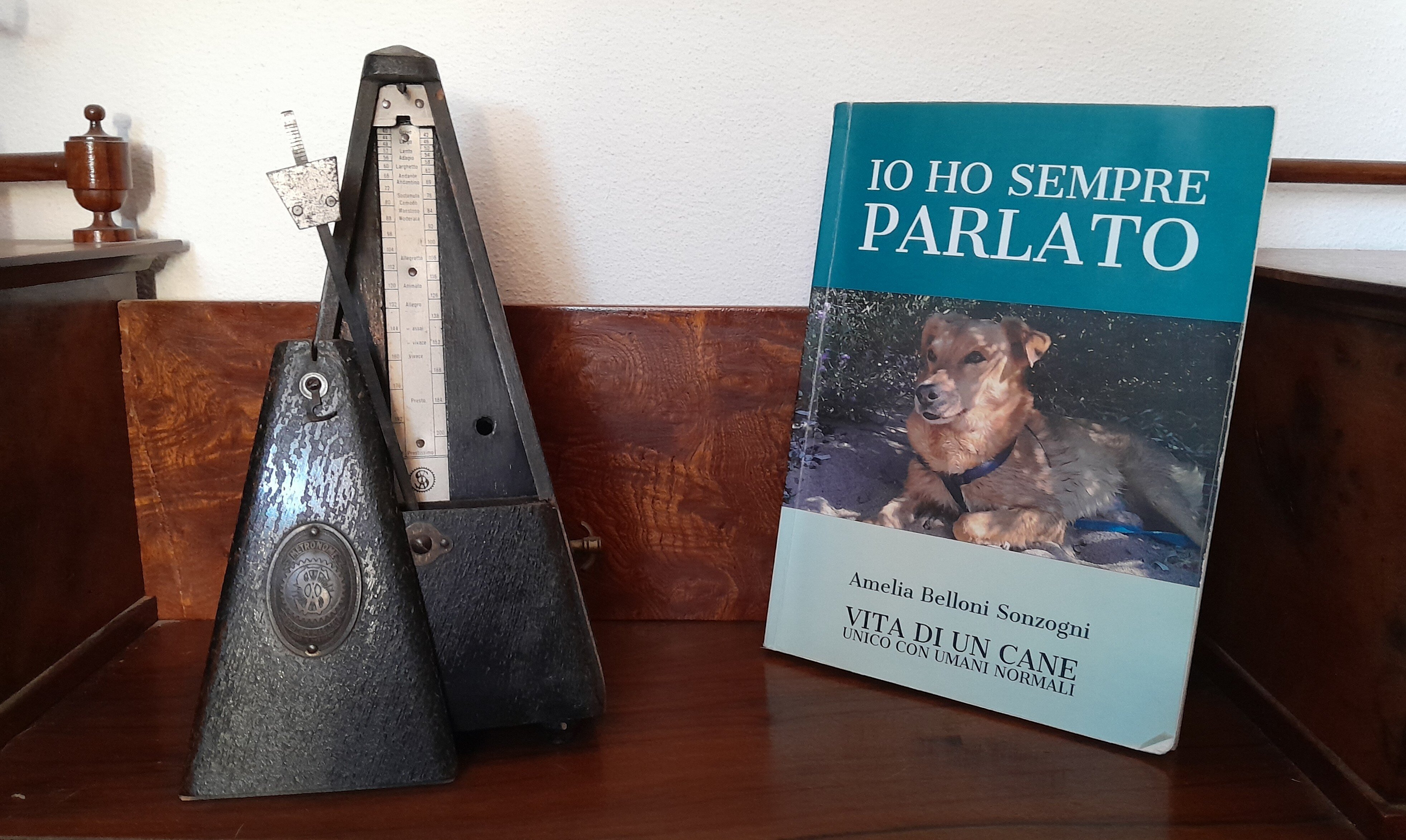 ricomincio da 300.1