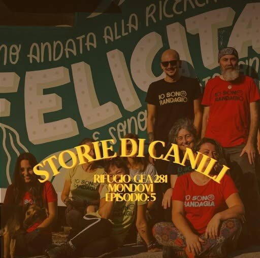 storie di canili è a Mondovì storie di canili è a Mondovì