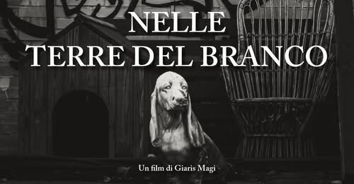 Storie di canili nelle Terre del branco
