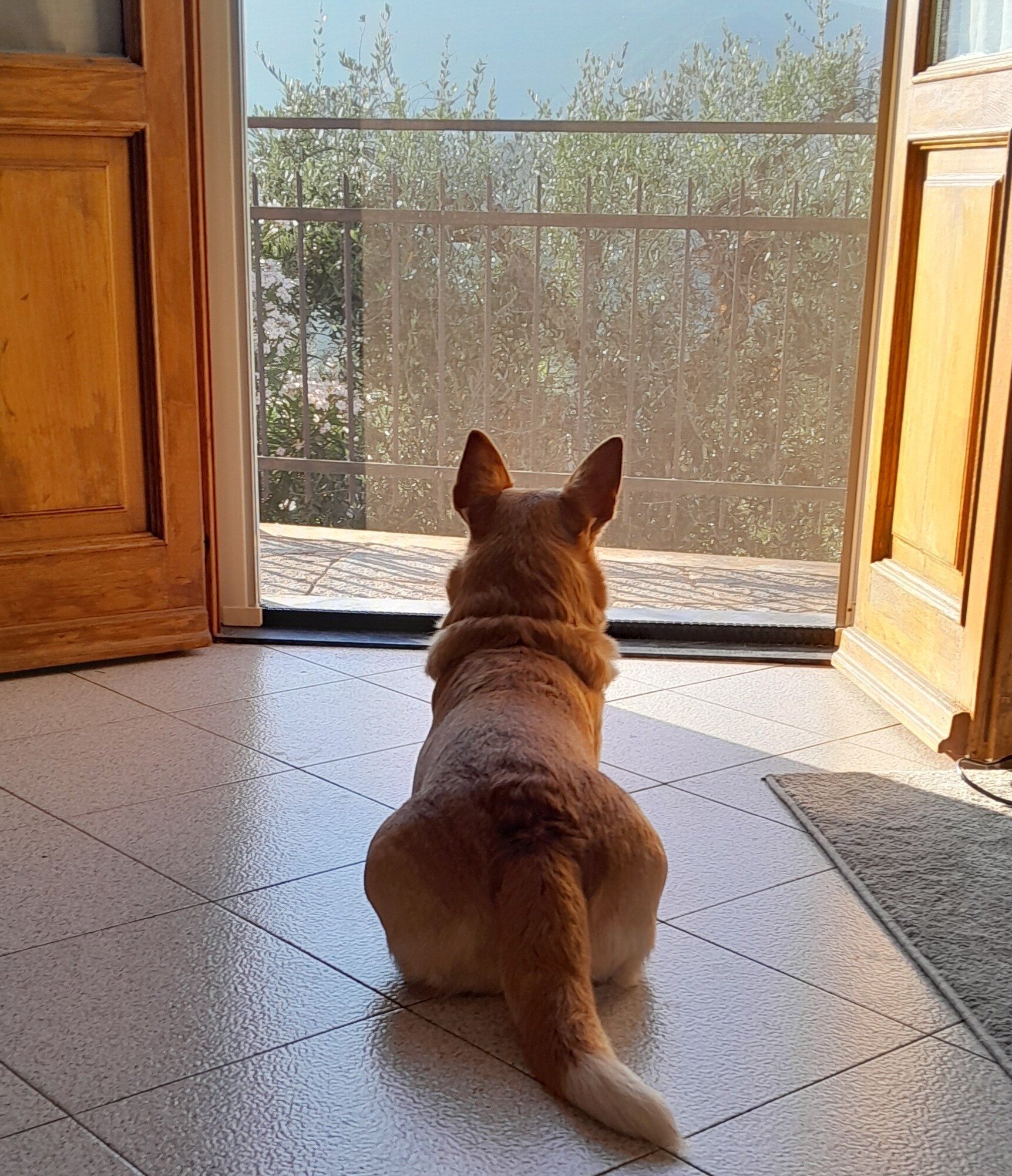 il portavoce il portavoce