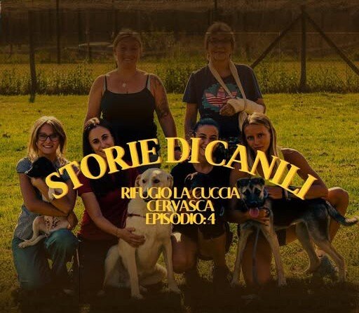 storie di canili è a Cervasca