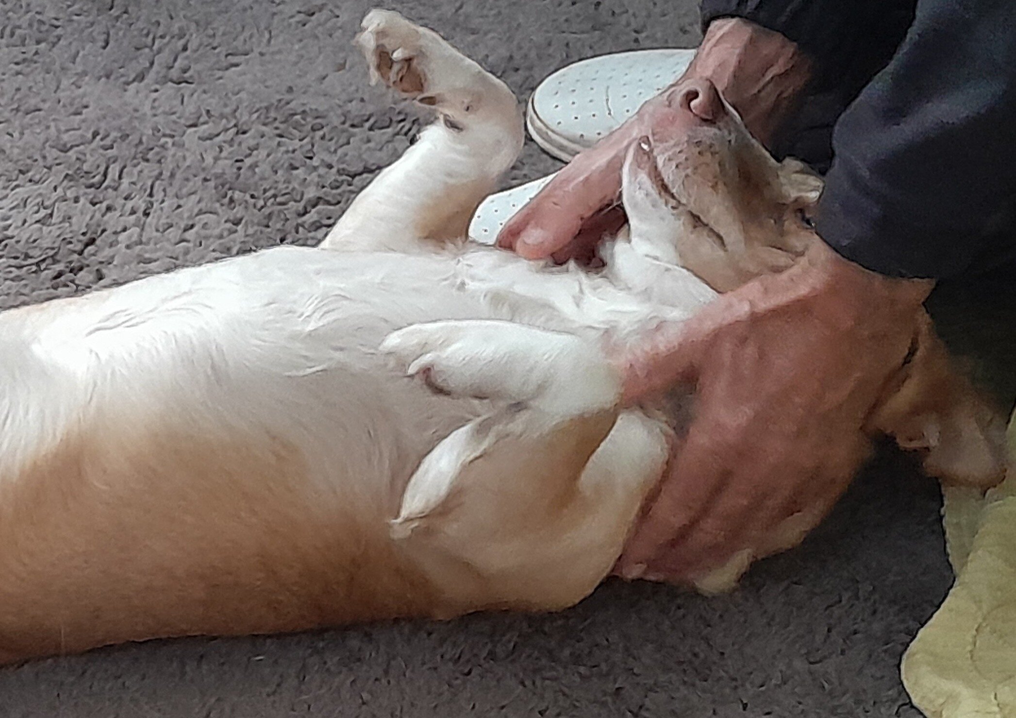 no save list 4. pensierino di Natale